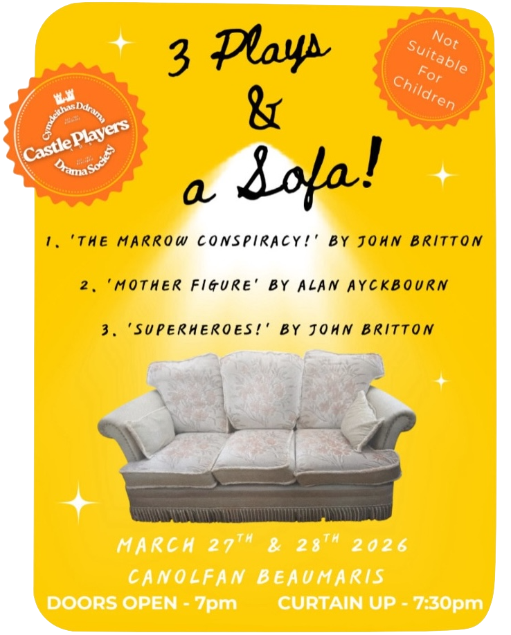 3 Plays and a Sofa promotional image